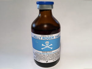 Jolly Roger 144X-stimulant-endurance-energy-power-oxygen-horseandcamelsupplies.com