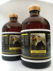 Asta-Xanthin-race-Energy-and-oxygen-horseandcamelsupplies.com