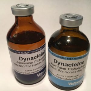 Dynacleine-Vetsearch-ATP-Energy-https://horseandcamelsupplies.com