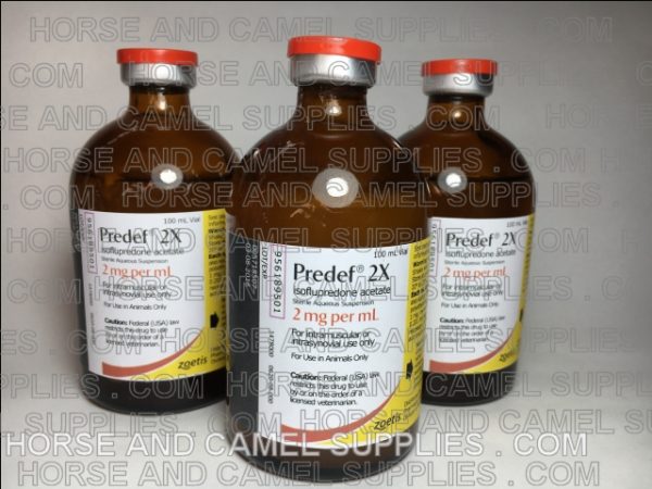 Predef2x-Zoetis-isoflupredone-acetate-anti-inflammatory-pain-reliever-killer-race-horse-camel