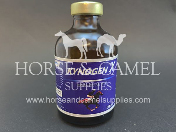 Kinogen-X-stimulant-power-energy-race-vitamin-aspartate-magnesium-carnitine-b12-atp-horse-camel