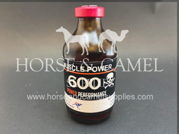 Muscle-Power-600-stimulant-power-energy-race-horse-camel-vitamins-endurance