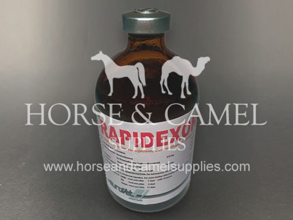 Rapidexon-dexamethasone-anti-inflammatory-pain-reliever-killer-race-horse-camel-dexa-analgesic-medicine