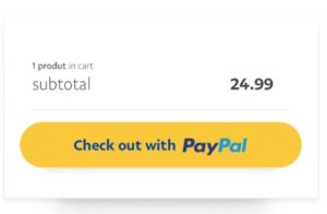 Paypal-payment-creditcard-visa-mastercard-american-001