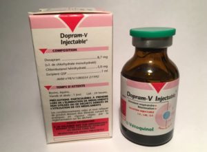 Dopram-V-Vetoquinol-doxopram-chloridrate-stimulant-respiratory-breath-oxygen-power-for-race-horse-horse-and-camel