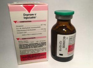 Dopram-V-Vetoquinol-doxopram-chloridrate-stimulant-respiratory-breath-oxygen-power-for-race-horse-horse-and-camel