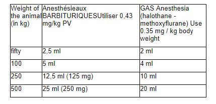 Dopram V Vetoquinol doxopram chloridrate stimulant respiratory breath oxygen power for race horse horse and camel 013
