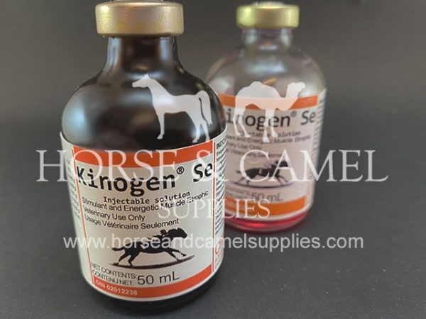 Kinogen-stimulant-power-energy-race-horse-camel-endurance-vitamins-carnitine-magnesium-fatigue-kingen-SE