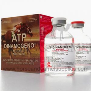 atpdinamogeno-atp-dinamogeno-chinfield-muscular-energizer-sport-equine-horse-camel-race