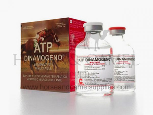 atpdinamogeno-atp-dinamogeno-chinfield-muscular-energizer-sport-equine-horse-camel-race