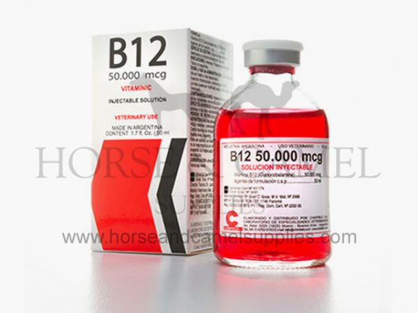 b12-chinfield-antianemic-neurotonic-vitaminb12-b12-vitamin-anemic-horse-camel-race