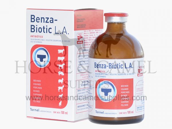 benza-biotic,tornel,penicillins,dihydrostreptomycin,antimicrobial,gram,antibiotic,fever,gangrene,actinomycosis,leptospirosis,pneumonia