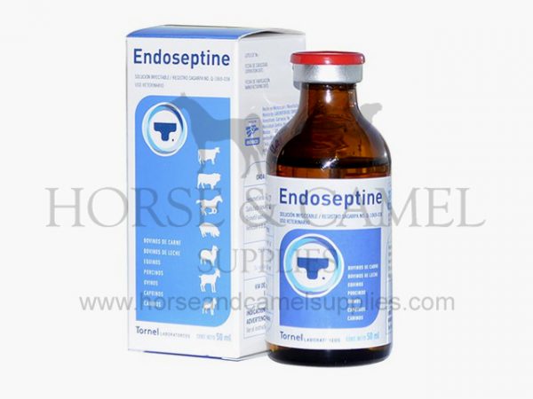 endoseptine,tornel,hexamethylene,tetramine,antiseptic,urinary,antibacterial,gram,escherichia,descongestion,muscle,hearth