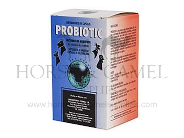 probiotic,tornel,lactobacillus,intestinal,digestion,flora,antibiotic,infectious,vitaminE,alphatocopherol