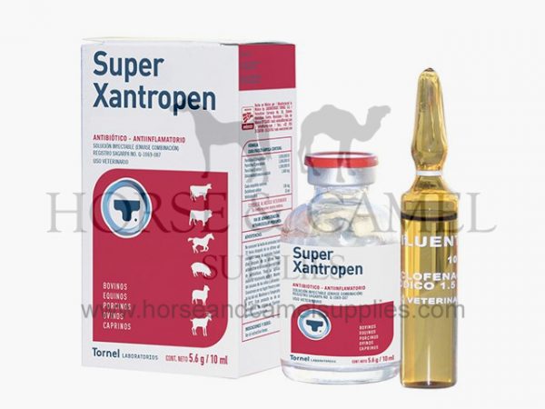 super-xantropen,tornel,xantropen,infectious,disease,penicillin,dihydrostreptomycin,actinobacillus,brucella,leptospira,respiratory,joint,anti-inflammatory,analgesic