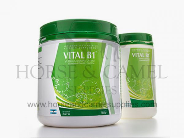 vital,b1,chinfield,energy,power,stimulant,vitamin,performance,velocity,speed,medicin,veterinary,inyection,racing,inflammations