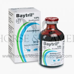 baytril,bayer,respiratory,antibiotic,pasteurella,pneumonic,escherichia,mycoplasma,corynebacterium,ireaplasma,salmonella,pseudomonas,proteus