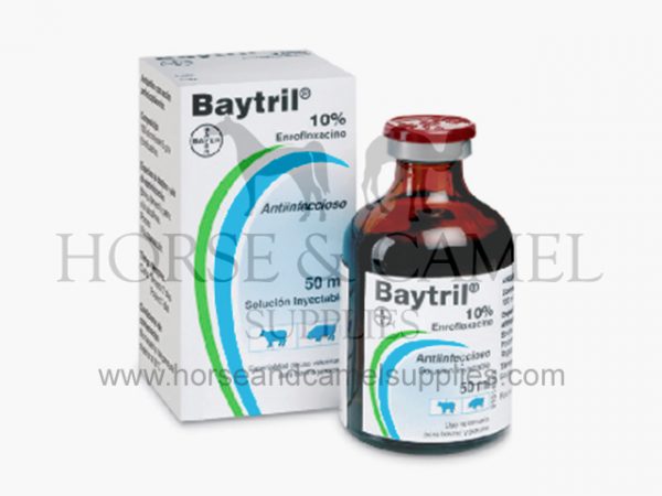 baytril,bayer,respiratory,antibiotic,pasteurella,pneumonic,escherichia,mycoplasma,corynebacterium,ireaplasma,salmonella,pseudomonas,proteus