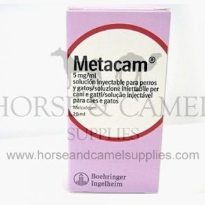 metacam,boehringer,meloxicam,inyection,inyectable,antiinflammatory,anti-inflammatory,analgesic,antipyretic,relief,dog,horse,camel