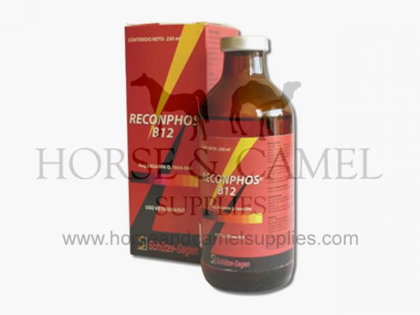 RECONPHOS,b12,Schütze-Segen,energy,power,stimulant,vitamin,performance,velocity,speed,medicin,veterinary,injection,racing