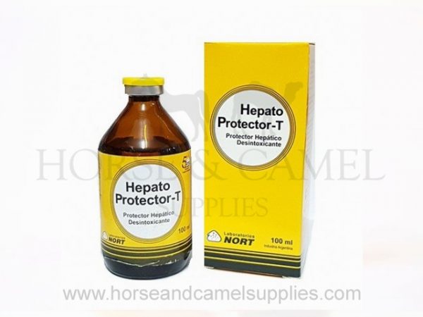 hepatoprotector,hepatoprotector-T,nort,antitoxic,thioctic,cocarboxylase,toxic-hepatitis,hepatitis,poisoning,anemia,protein,recovery,anesthetic,violent,exercises