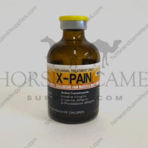 x-pain,analgesic,isovaline,d-leucine,d-phenilalanine,race,horse,camel,australia