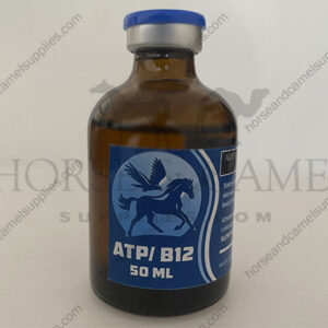 ATB-B12-Medjet-Adenosin-Triphosphate-endurance-power-energy-vitamin