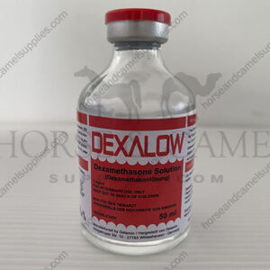 Dexalow-Dexa-dexamethasone-pain-killer-anti-inflammatory-antiinflammatory-dexacortyl