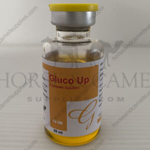 Gluco-Up-glucosamine-chondroitin-arthritis-joints-bones-tendons-hip-Osteoarthritis.JPG