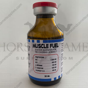 Muscle-Fuel-Vitamin- B15-arginine-carnitine-atp-energy-power-endurance