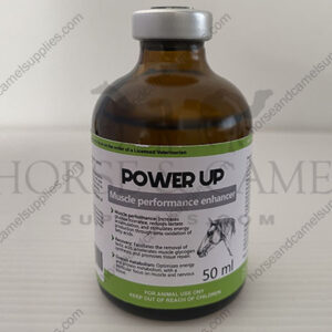 Power-Up-energy-performance-endurance-vitamins-magnesium-delay-fatigue-recovery