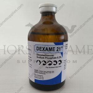 dexa-dexamethasone-pain-reliever-Anti-inflammatory-Corticosteroid-inflammation-Allergic-Asthma-Edema-pain-killer-camel-horse-