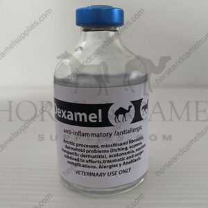 dexamel-dexa-dexamethasone-pain-reliever-Anti-inflammatory-Corticosteroid-inflammation-camel-horse-cortamethasone-dexacortyl-Asthma-Edema-Allergic