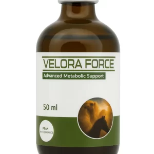 Velora Force 50 ml – Advanced Metabolic Support for performance animals