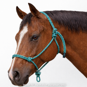Training-rope-halter-horse