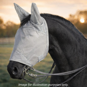 Black horse wearing a gray fly mask for fly protection